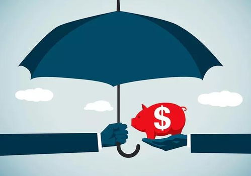 我國(guó)工程擔(dān)保制度中的信用功能機(jī)制與信用擔(dān)保——以工保網(wǎng)為例的視角