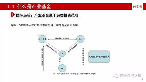 產(chǎn)業(yè)基金的建立、投資策略、投后管理與風險控制